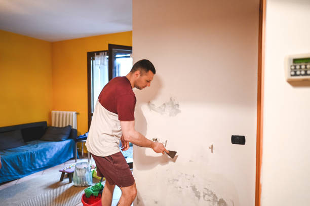 Best Crawl Space Mold Remediation in Hilliard, FL